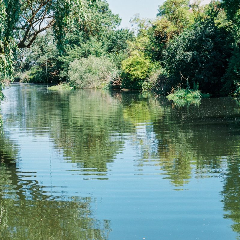 Río Arlanzón, Spain
